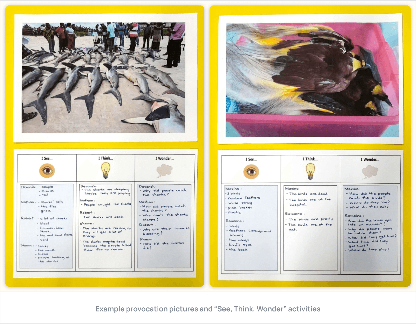 Example provocation pictures and “See, Think, Wonder” activities
